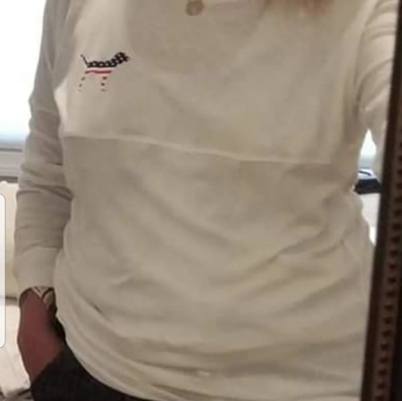 oversized 4th of July dog tee - Picture 2 of 2